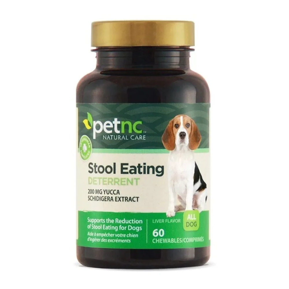Coprofagia Perros Evita Comer Heces 60 un